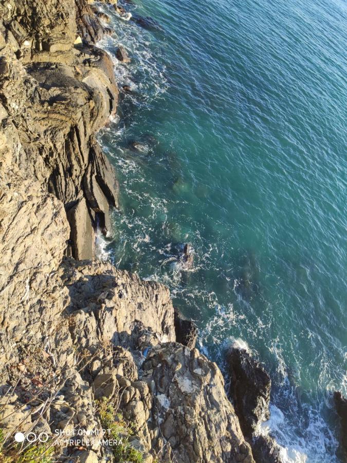 Via Verdi 5, Gli Affreschi Monterosso al Mare Eksteriør billede