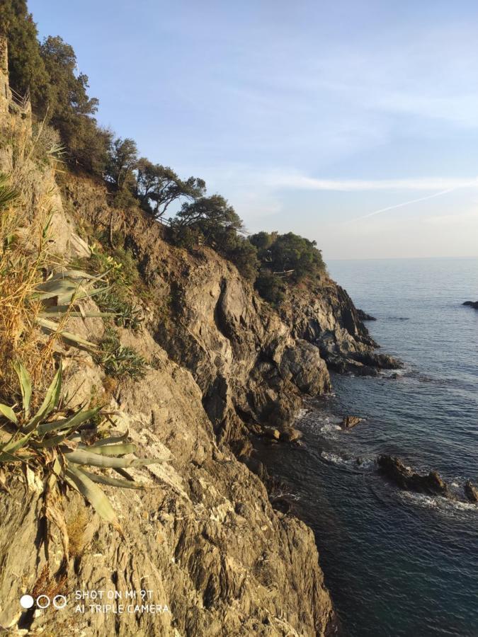 Via Verdi 5, Gli Affreschi Monterosso al Mare Eksteriør billede